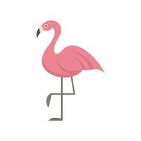 flamingo vogel icoon vlak geïsoleerd vector