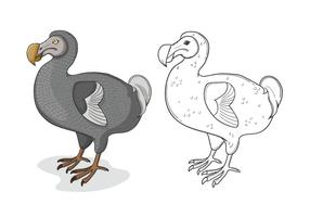 Grijze Dodo Vogel Illustratie vector