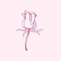 hand- getrokken roos. tekening van roos bloem. roos bloem illustratie in hand- getrokken stijl. schattig bloem. roze schets. vector