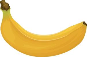 banaan. beeld van een banaan. rijp tropisch fruit. rijp banaan. vector illustratie geïsoleerd Aan een wit achtergrond