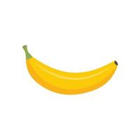 biologisch banaan icoon vlak geïsoleerd vector