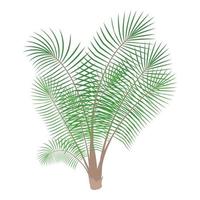 bamboe palm icoon, tekenfilm stijl vector