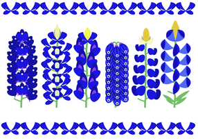 Mooie Bluebonnet Flower Vector