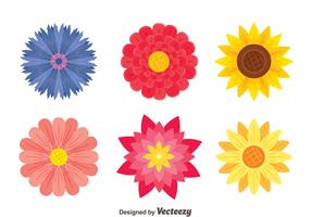 Mooie Bloemen Collectie Vector