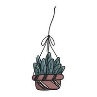 vector tekening huis cactus in een pot of planter.