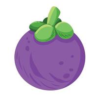 een single mangisboom Purper fruit vector illustratie geïsoleerd Aan wit achtergrond. voedsel tekening met tekenfilm vlak kunst stijl.