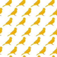 geel kanarie zomer naadloos patroon met een zangvogel kanarie afgebeeld Aan het. zomer afdrukken. vector illustratie Aan wit achtergrond.