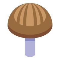 shiitake icoon isometrische vector. schimmel voedsel vector