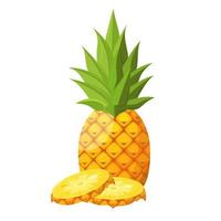 vector illustratie van een geïsoleerd ananas. tropisch fruit in een vlak stijl.