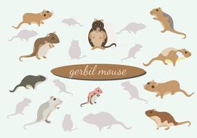 Gerbil Muis vector Pack