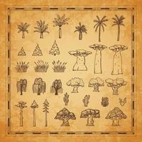 wijnoogst kaart fabriek bomen, palm, baobab en cactus vector