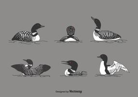 Loon Vector Set