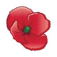 papaver icoon, tekenfilm stijl vector