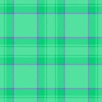 patroon naadloos textiel. achtergrond structuur tartan. vector plaid kleding stof controleren.