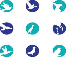 vogel vector ontwerp. liefhebbend en zorgzaam vogel logo.