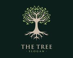 boom Afdeling hout stam blad natuur groen leven wortel grond ecologie klassiek luxe vector logo ontwerp