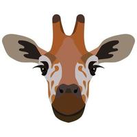 schattig giraffe hoofd geïsoleerd Aan wit achtergrond. Afrikaanse wild dier. illustratie met weinig giraffe in tekenfilm stijl kan worden gebruikt voor kinderen kleding of dingen ontwerp, dier winkel, vakantie kaart. vector