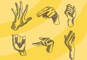 Gravure Old Style Hand Vector Pictogrammen