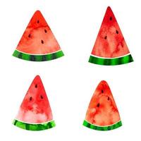 watermeloen plakjes aquarelverf illustratie geïsoleerd Aan wit achtergrond vector
