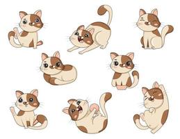 bundel van schattig tekenfilm kat in verschillend poses is gespeeld geïsoleerd Aan wit achtergrond vector