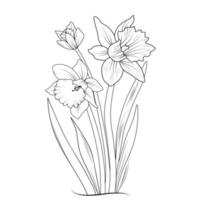 schetsen van schets gele narcis bloem kleur boek hand- getrokken vector illustratie artistiek gegraveerde inkt kunst bloesem narcis bloemen geïsoleerd Aan wit achtergrond klem kunst