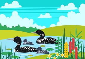 Loon Bird Family In The Lake vector