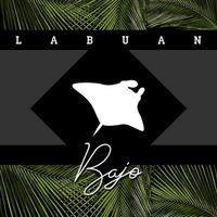 Labuan bajo vector grafisch ontwerp sjabloon