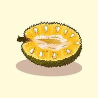 vers jackfruit hand- getrokken tekenfilm illustratie vector