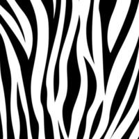 zebra dier huid afdrukken patroon. naadloos achtergrond met zebra huid patroon. zebra dier motief vector naadloos patroon. zebra huid patroon.