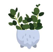 huis fabriek peperomia illustratie vector clip art