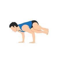 Mens aan het doen kant kraan houding in wit achtergrond. parsva bakasana oefening. balans en recreatie. vlak vector illustratie geïsoleerd Aan wit achtergrond