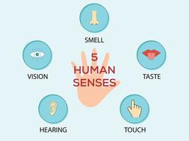 5 menselijk zintuigen welke zijn visie, horen, geur, tintje en smaak vector