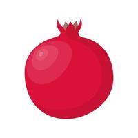 granaatappel. rood fruit Aan wit achtergrond. vector illustratie.