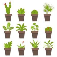 ingemaakt planten en bloemen pictogrammen. schattig huis planten in vlak stijl. gemakkelijk vector illustratie.