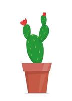 schattig groen ingemaakt fabriek in vlak stijl. cactus. vector illustratie.