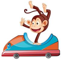 aap rijden op speelgoedauto op witte achtergrond vector