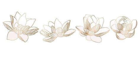 reeks van hand- getrokken lotus lijn kunst. verzameling van helling goud lotus bloemen lijn kunst. ontwerp voor luxe bruiloft uitnodiging, omslag, afdrukken, decoratie, patroon, achtergrond sjabloon. vector illustratie.