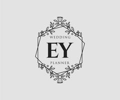 ey initialen brief bruiloft monogram logos verzameling, hand- getrokken modern minimalistisch en bloemen Sjablonen voor uitnodiging kaarten, opslaan de datum, elegant identiteit voor restaurant, boetiek, cafe in vector