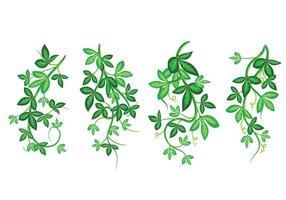 Set van Mooie Vector Art Illustratie, Poisson Klimop Met Groene Bladen, Framed Pattern