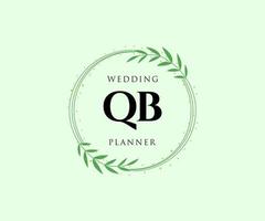 qb initialen brief bruiloft monogram logos verzameling, hand- getrokken modern minimalistisch en bloemen Sjablonen voor uitnodiging kaarten, opslaan de datum, elegant identiteit voor restaurant, boetiek, cafe in vector