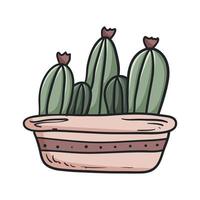 vector tekening illustratie van planter met cactus huis planten set.