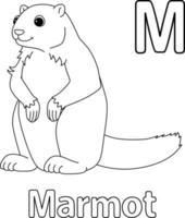 marmot alfabet abc geïsoleerd kleur bladzijde m vector