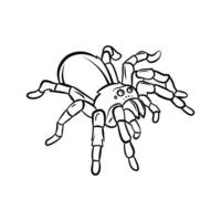 tarantula illustratie ontwerp vector