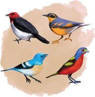 reeks van kleurrijk aquarellen vogelstand geïsoleerd Aan wit achtergrond, natuurlijk illustratie, waterverf vogelstand verzameling vector