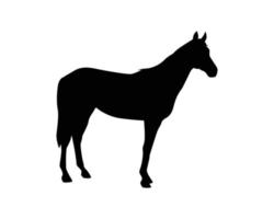 paard silhouet vector sjabloon