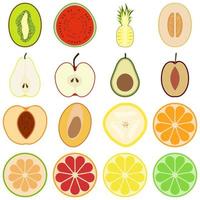 reeks van cutaway fruit vector