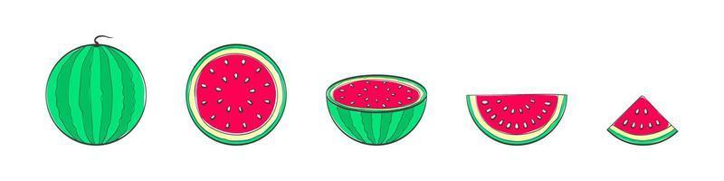 watermeloenen. reeks van hand- tekening watermeloenen. tekenfilm watermeloenen. tekening vruchten. vector illustratie