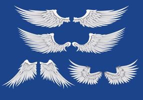 Witte Wings Illustratie vector