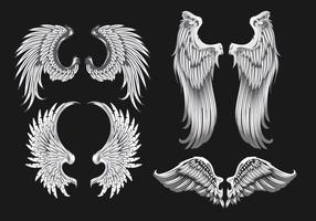 Witte Wings Illustratie vector