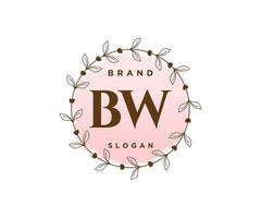 eerste bw vrouwelijk logo. bruikbaar voor natuur, salon, spa, kunstmatig en schoonheid logo's. vlak vector logo ontwerp sjabloon element.